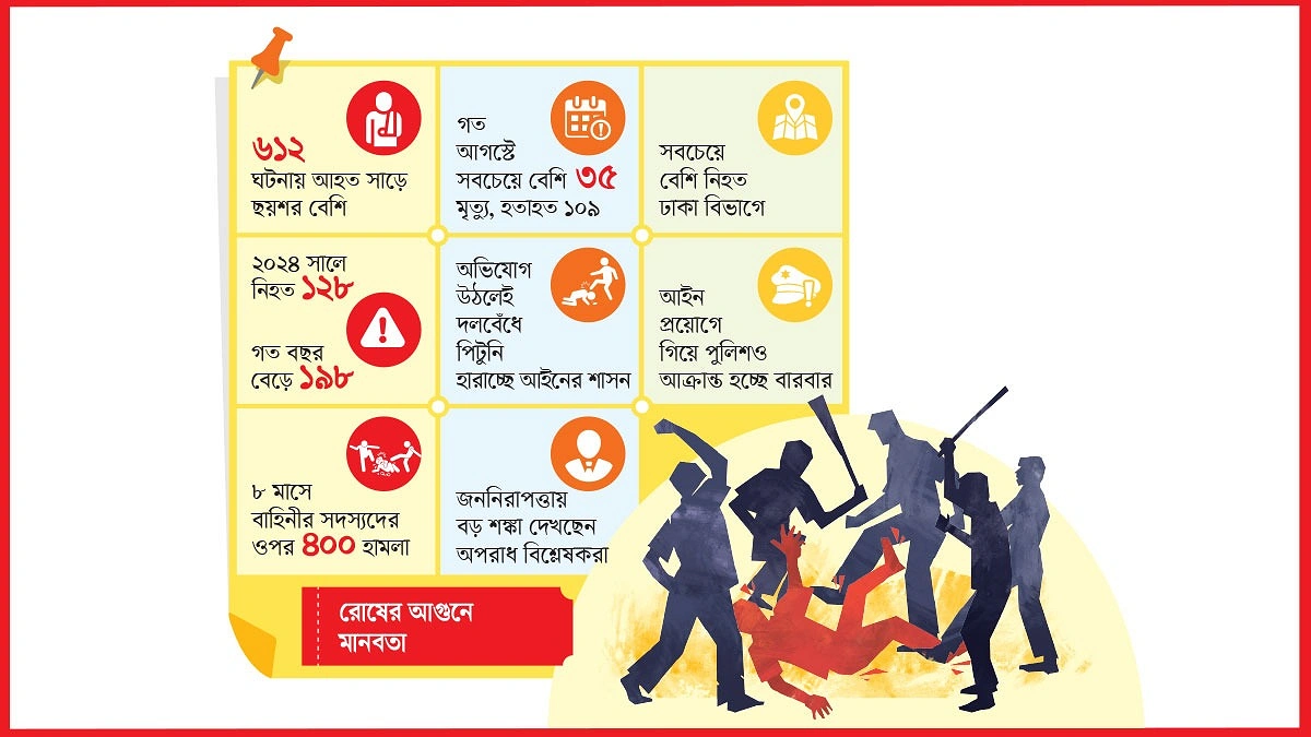 ১২ মাসে মবের হাতে নিভেছে ২৪৯ প্রাণ