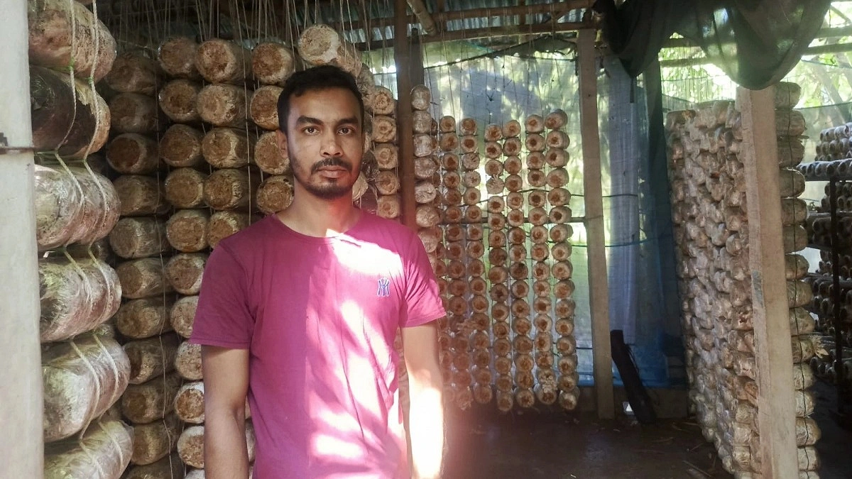 মাশরুম চাষে বদলে গেছে আব্দুল মোমিনের পথচলা
