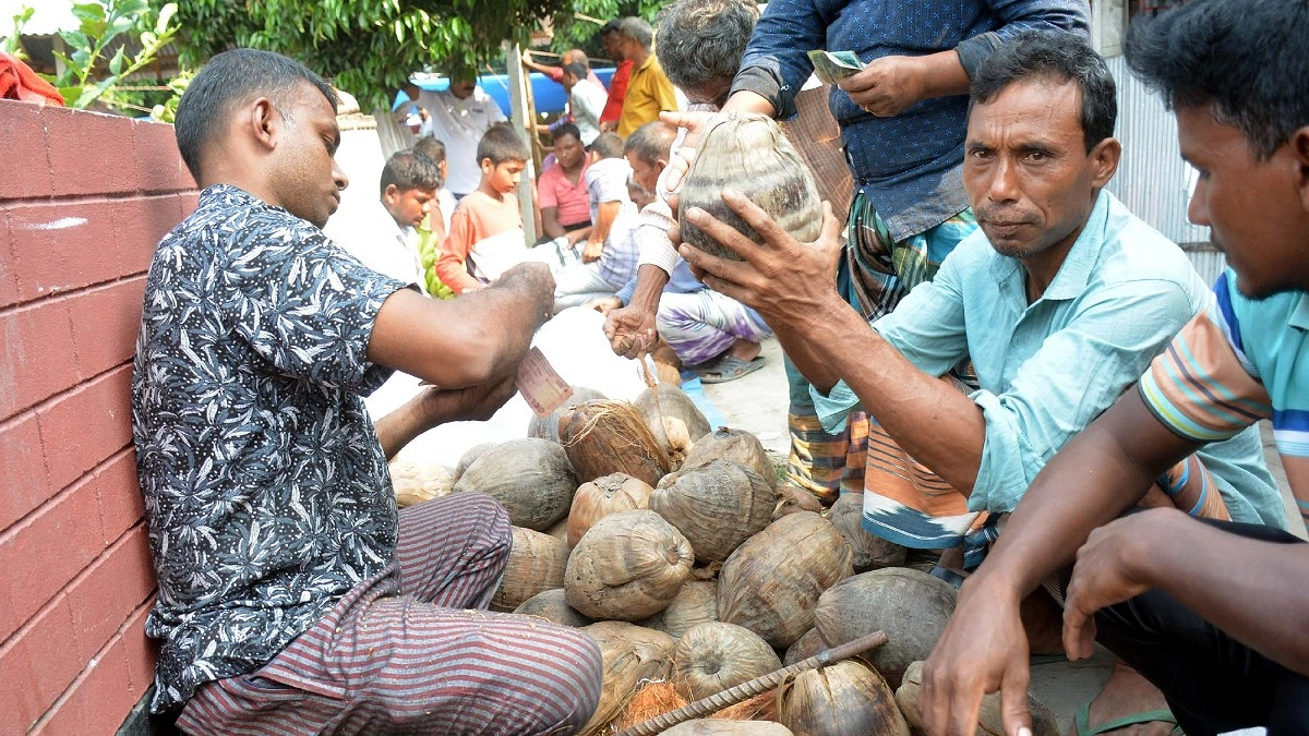 গ্রামীণ হাটে নারকেলের খোঁজে