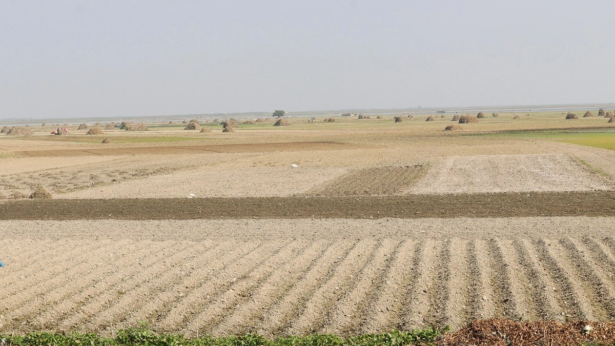 রবি মৌসুমে সারের সংকট, বিপদে কৃষক