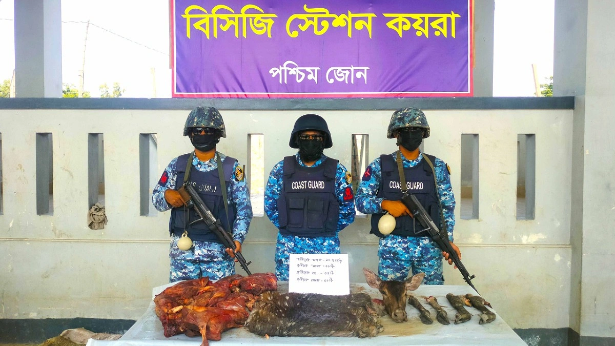 সুন্দরবনে হরিণের মাংস, মাথা, পা ও চামড়া জব্দ