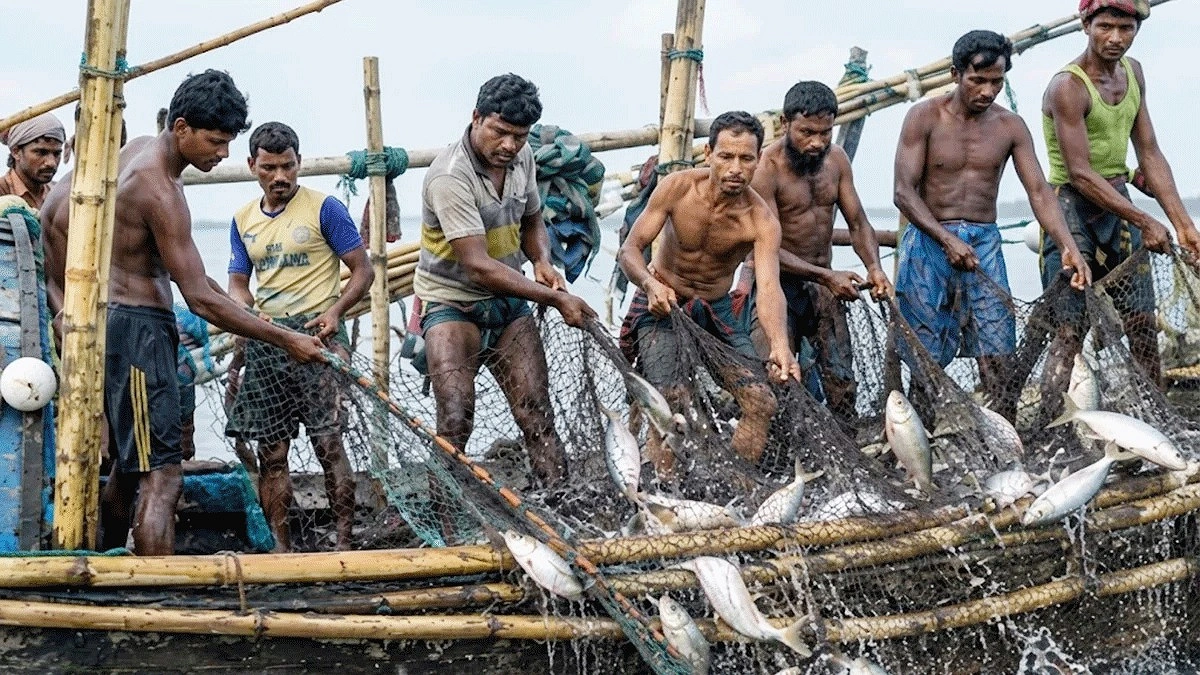 চালের সঙ্গে আর্থিক সহায়তা চান চাঁদপুরের জেলেরা