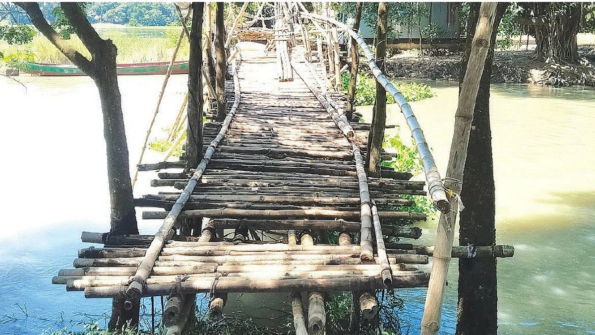 স্কুলের পথে নড়বড়ে সাঁকো
