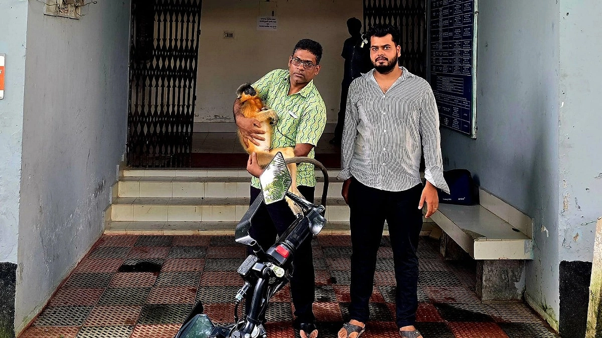 বিদ্যুতের তারে ঝলসে প্রাণ গেল সোনালি হনুমানের