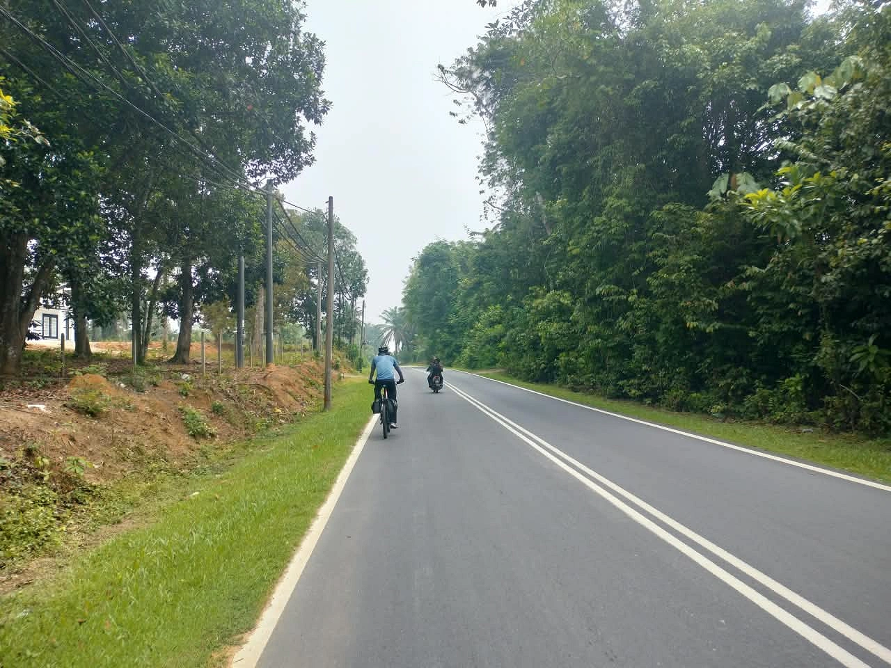 চলতি পথে