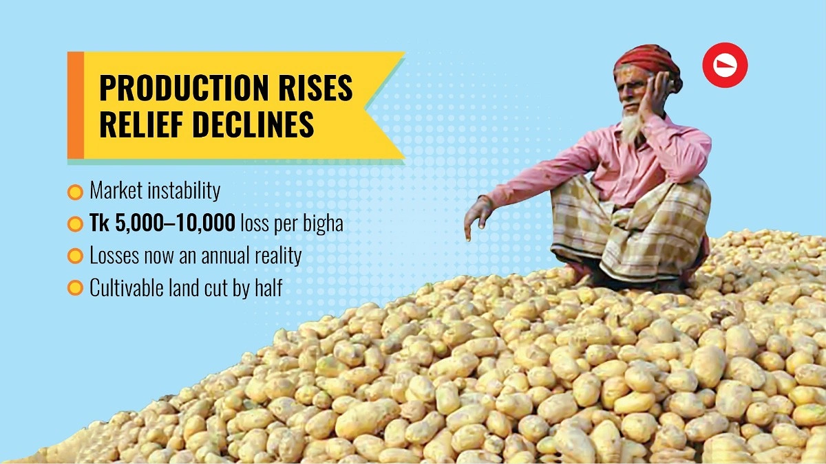 Potato overproduction fuels farmers’ anxiety