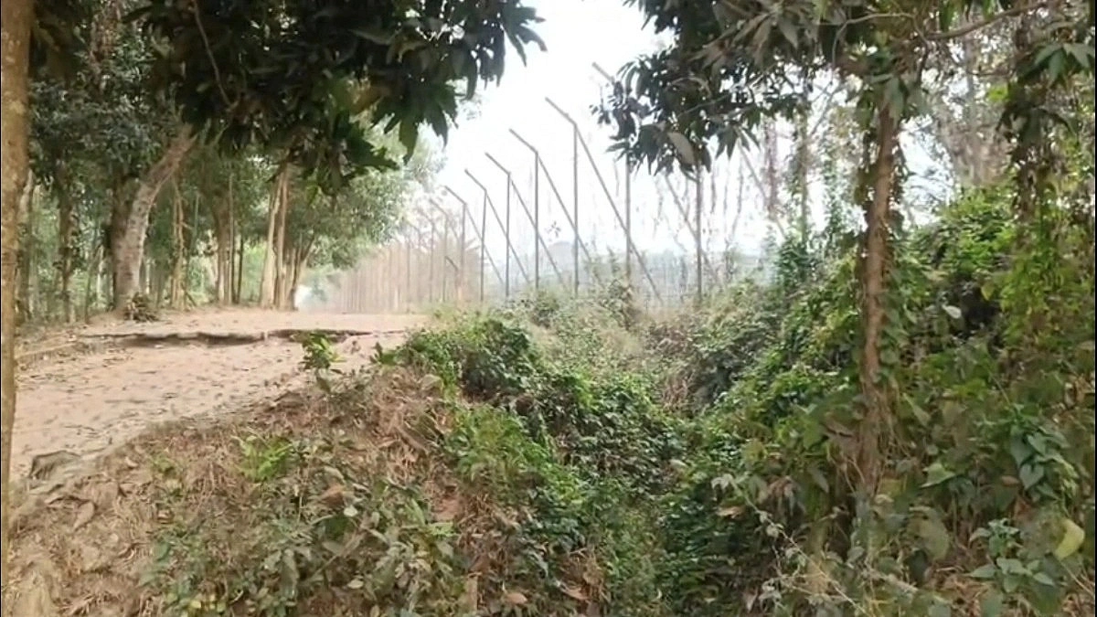 Two Bangladeshis Killed by BSF Gunfire at Bangladesh-India Border