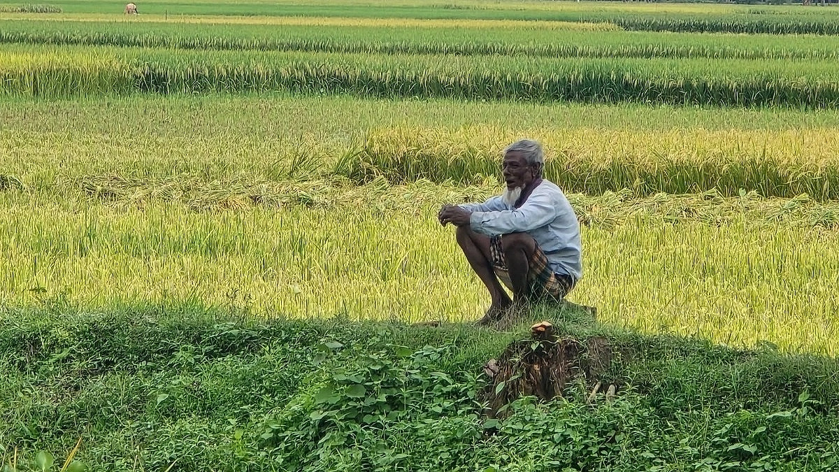 ‘When Farmers Finish Selling, Government Starts Buying'