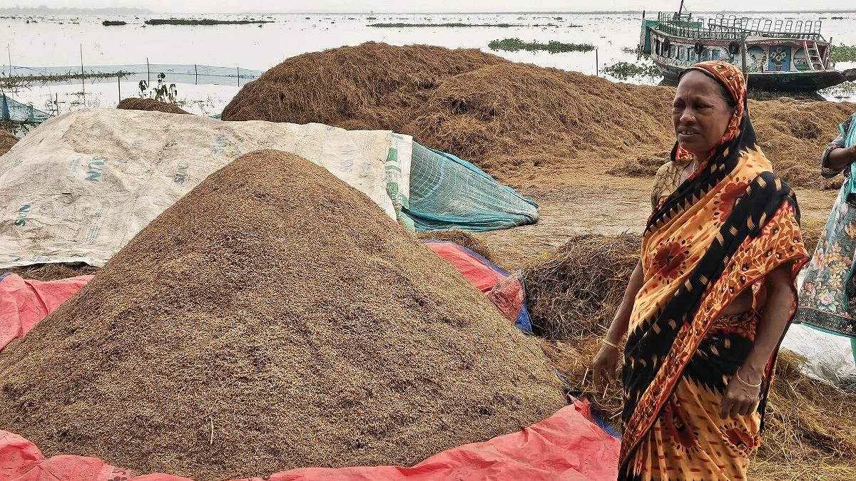 Farmers’ Dreams Drown in Haor, Bilkis Struggles with Loan Installments