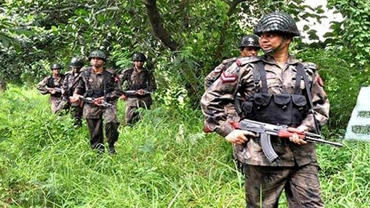 BGB Tightens Jashore Border Security Over Hide Smuggling Fears