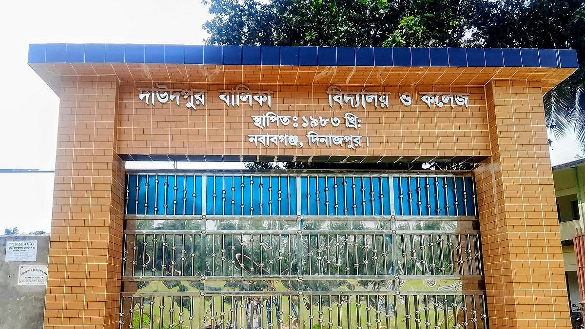 Teaching with a Fake Certificate for 20 Years: Who Holds Responsibility?