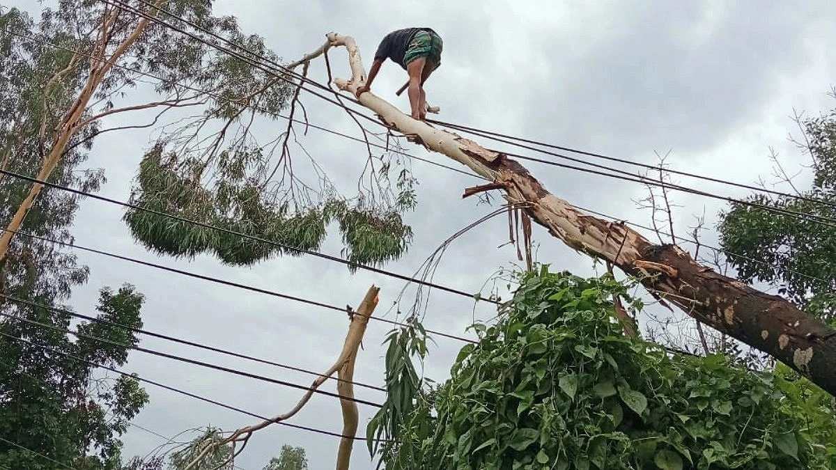 Storms Disrupt Rural Power Supply