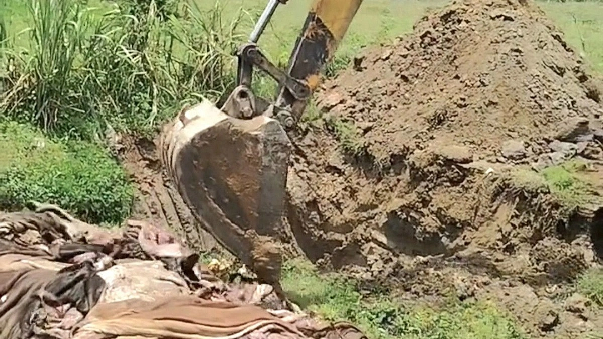 Traders Bury Hides After Failing to Get Fair Prices in Cumilla