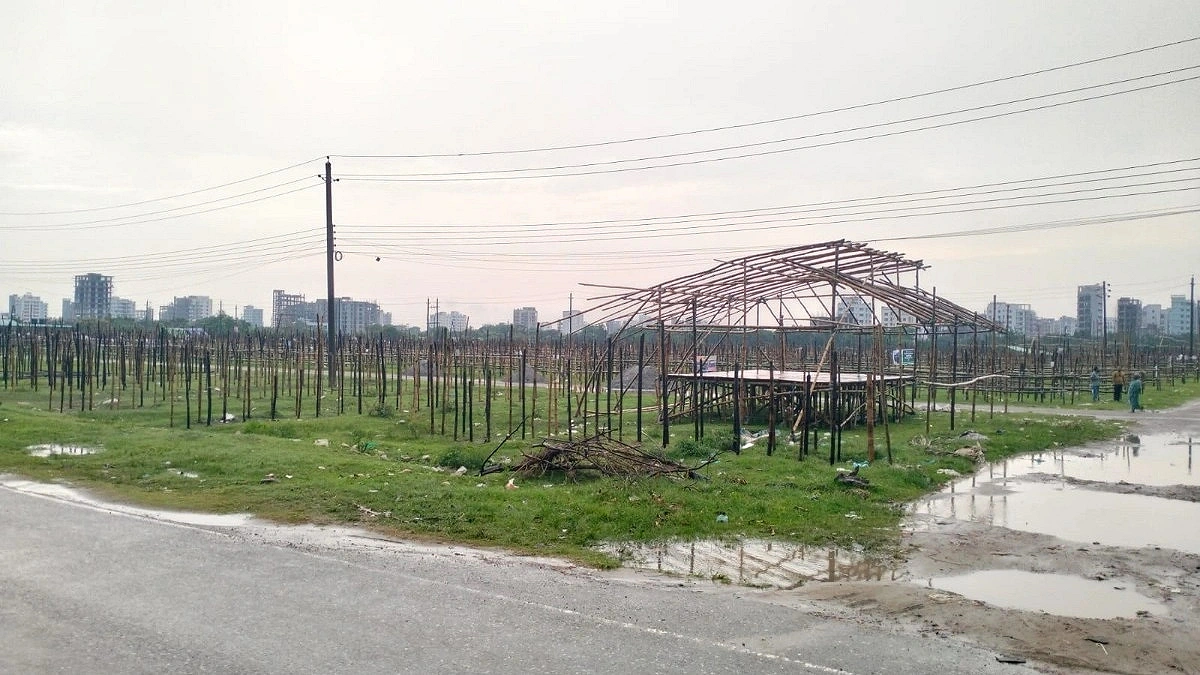 Early Possessing of Cattle Markets Begin