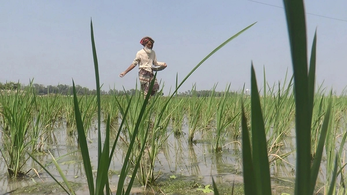 Tax Relief for Pesticide, Fertilizer, Animal Feed Production