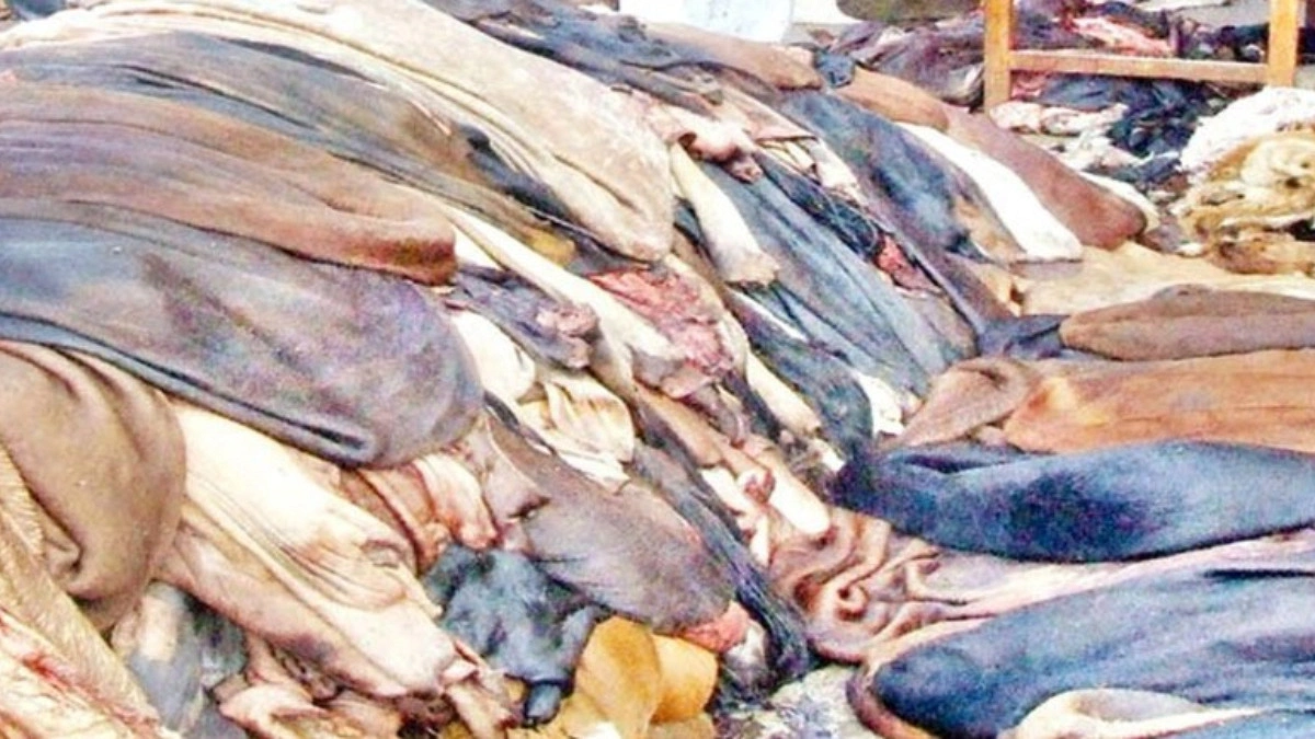 The Leather Mystery