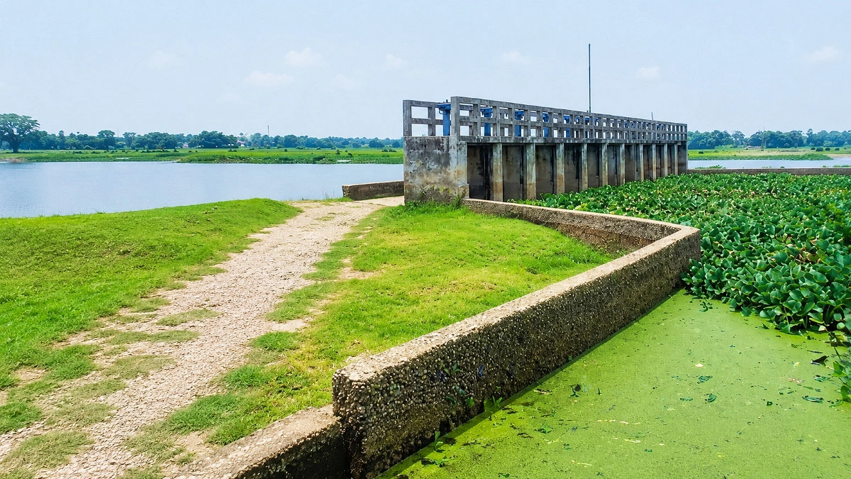 Inoperative sluice gates leave farmers sighing in despair