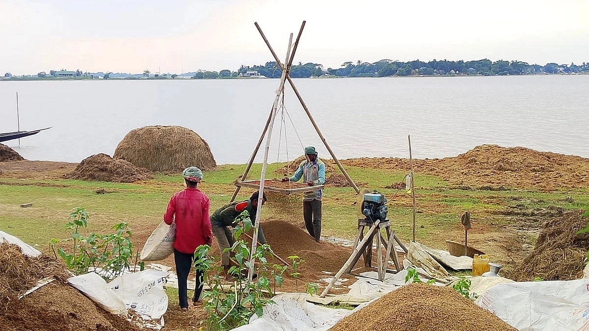 Severe Waterlogging Causes Extensive Damage to Boro Paddy in Netrokona