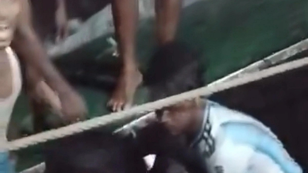Five Killed in Bay of Bengal Trawler Sinking