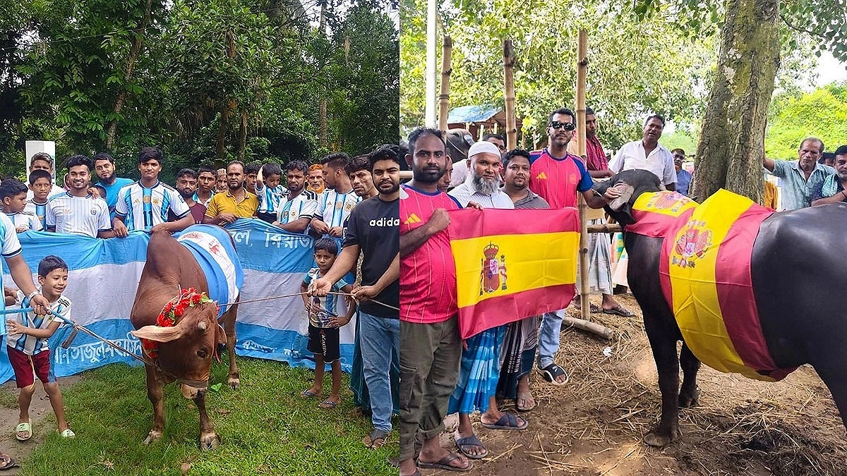 Argentina or Spain? Feasts organized in search of the result