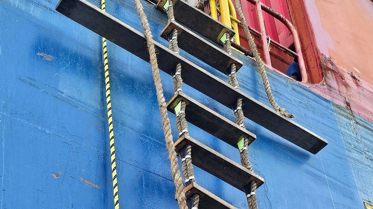 15 deficiencies found on ship after pilot falls