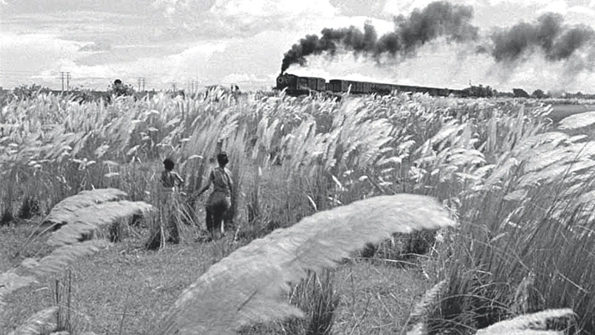 Your train