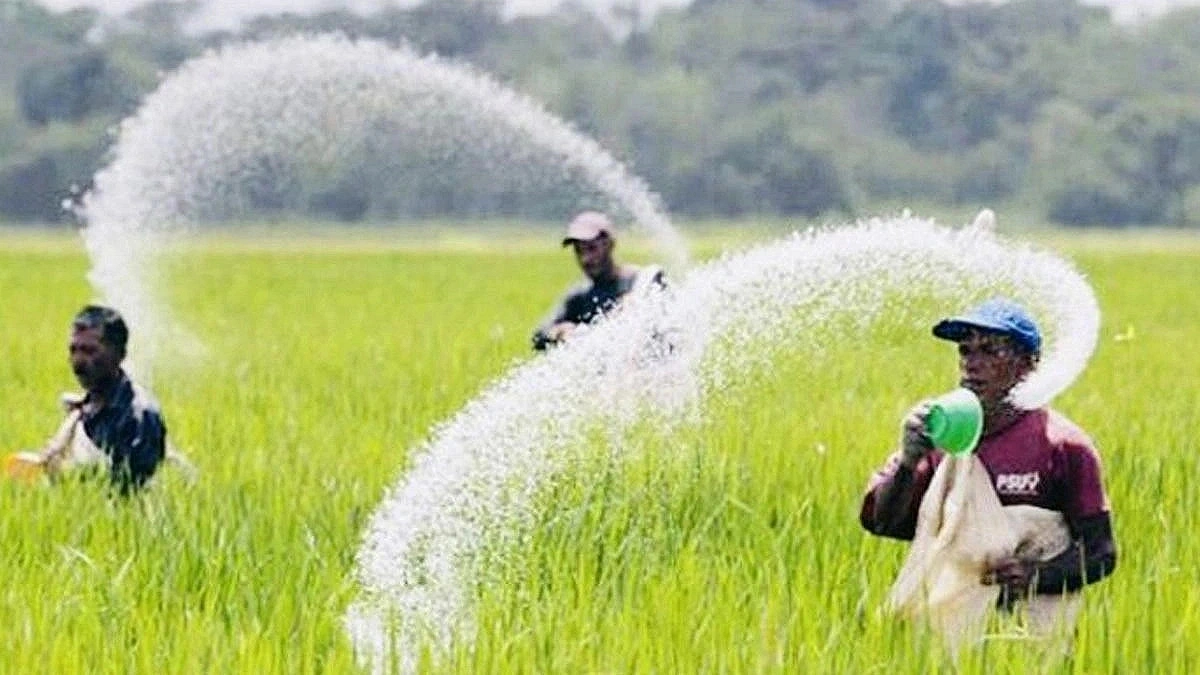 ‘Fertilizer Card’ introduced to resolve crisis