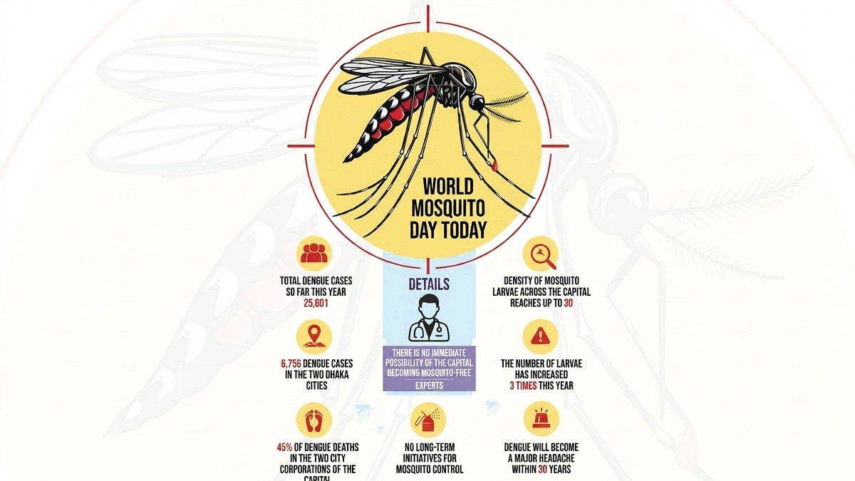 Dengue deaths mount as Dhaka’s mosquito war fails