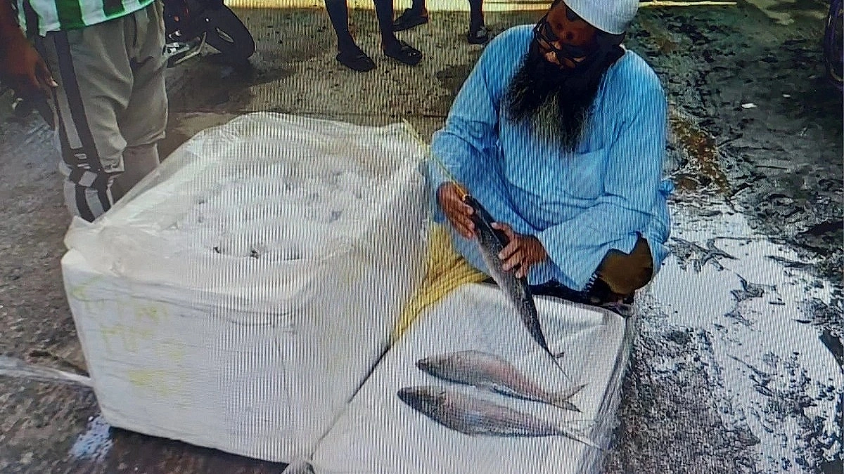 ‘Indian hilsa’ in official documents being sold as Myanmar hilsa