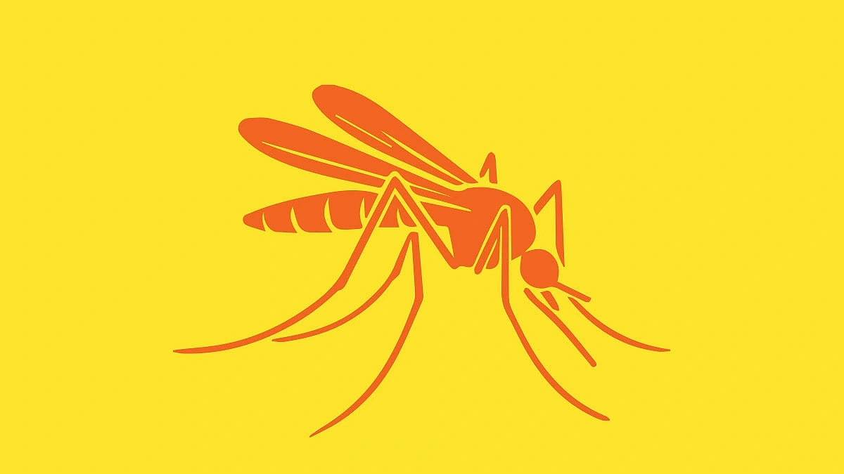 Entomologists' fears regarding Dengue coming true!