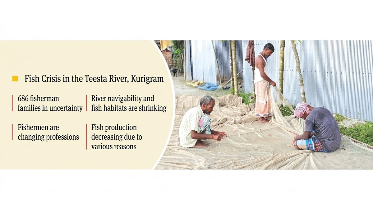 There are nets but no fish