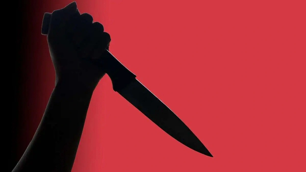 Police shoot woman after New York double stabbing