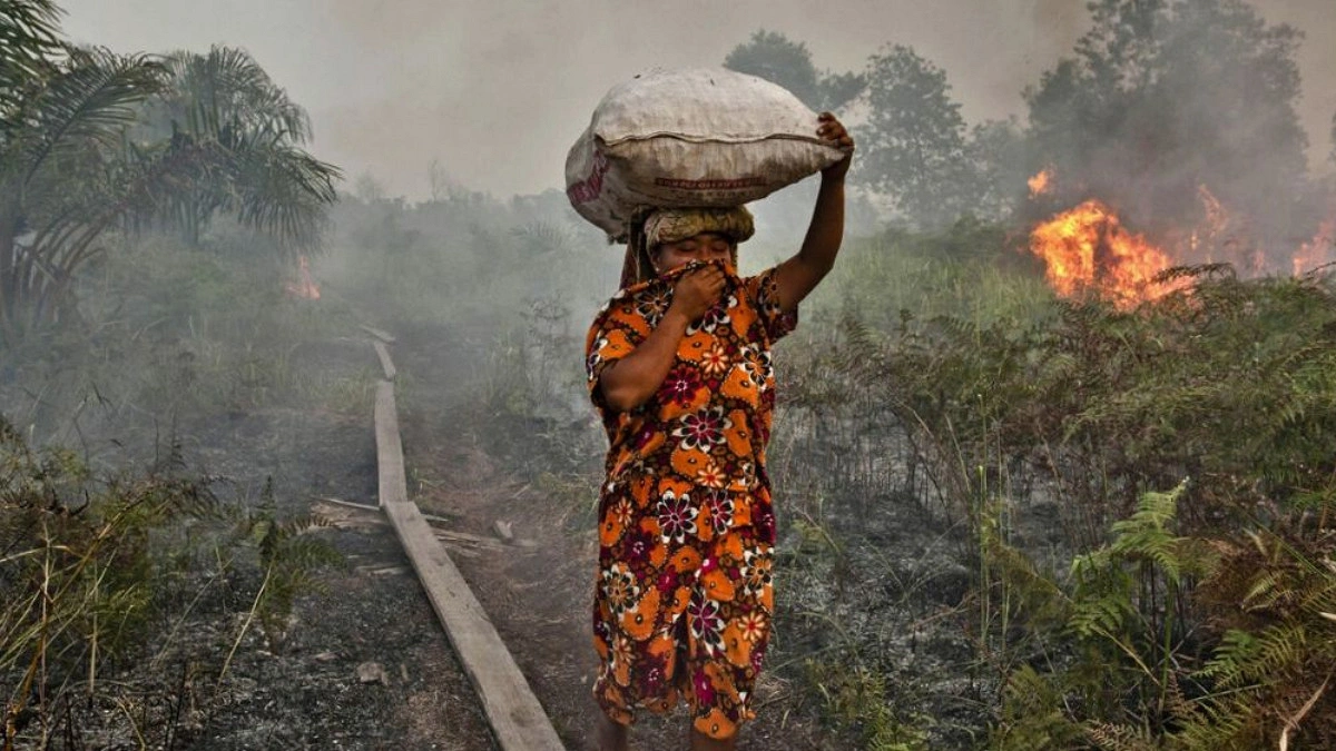 Toxic wildfire haze spreads across South East Asia as 'super' El Niño intensifies