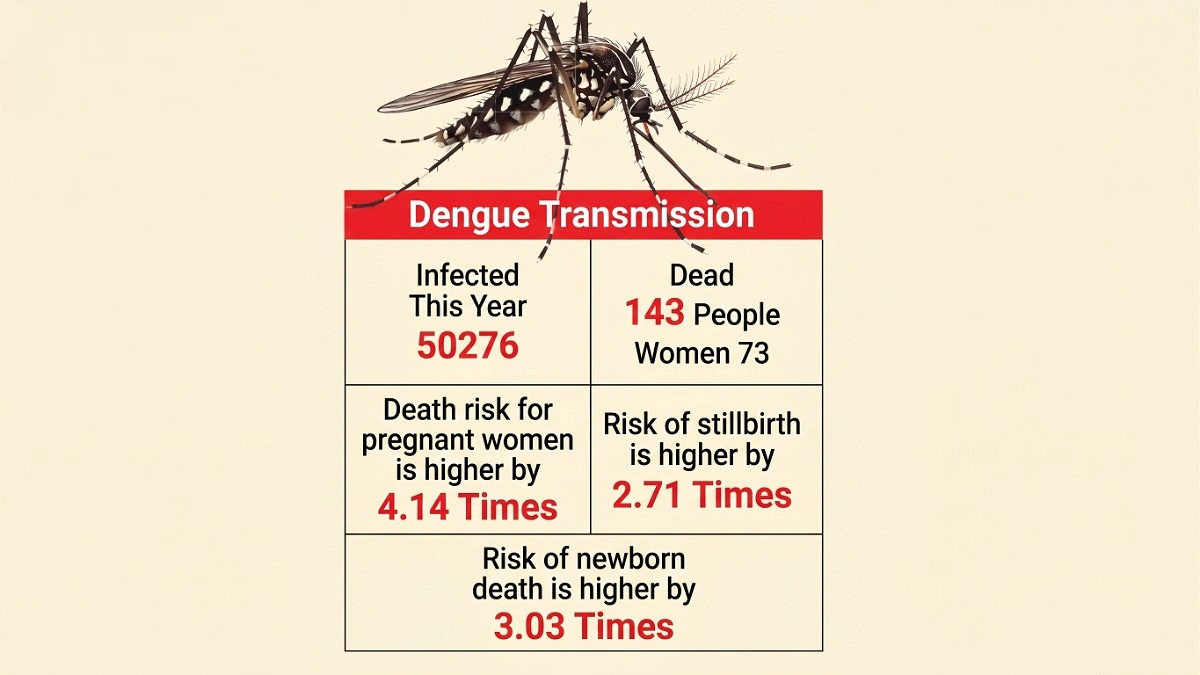 Dengue poses fourfold higher risk of death for pregnant women, unborn babies also at risk