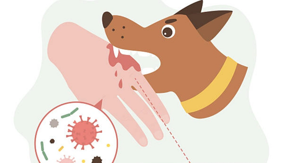 Rabies deaths rise despite goal to end them by 2030