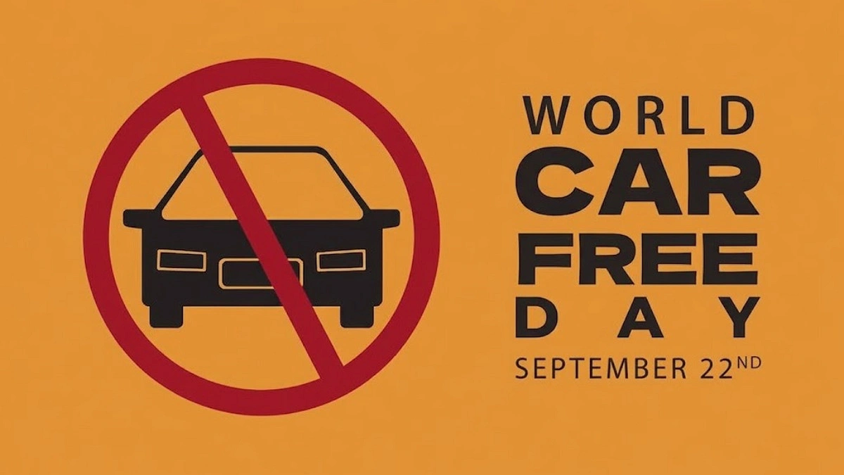 Private cars decline on the roads: What is driving the change?