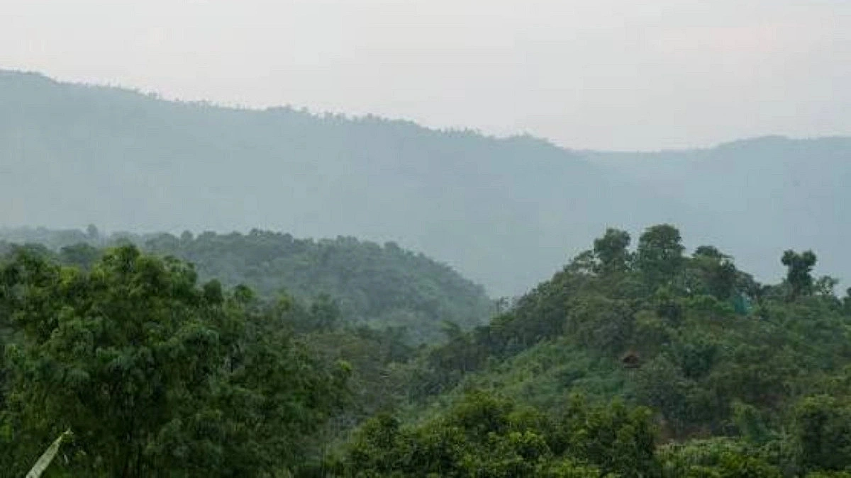 25,000 trees disappear from Garo Hills in Sherpur