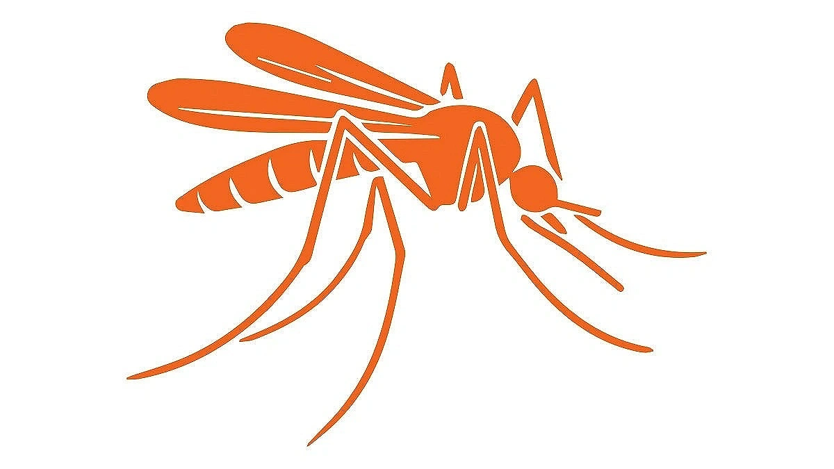 7 die of dengue in a day, record 2,249 hospitalized