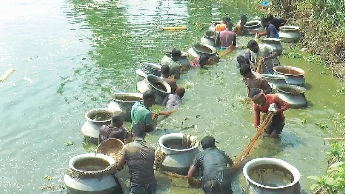 Meherpur fish farmers struggle as govt hatcheries stay shut 20 years