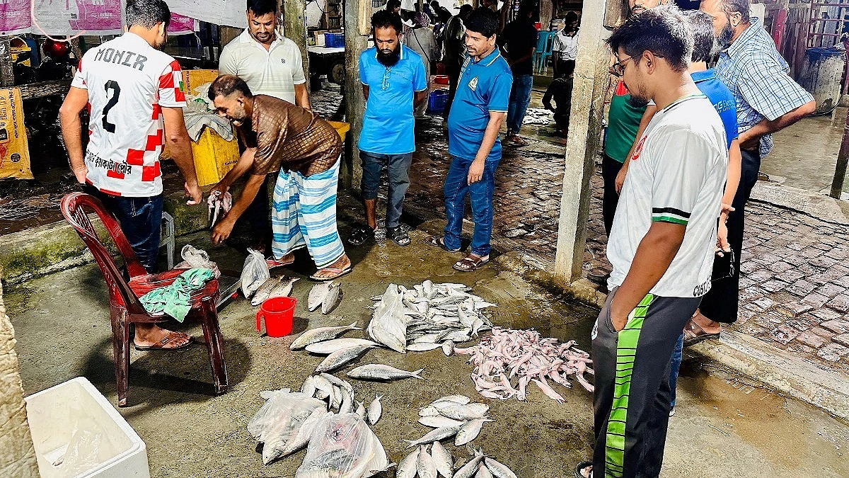 Hilsa market gets busy ahead of fishing ban
