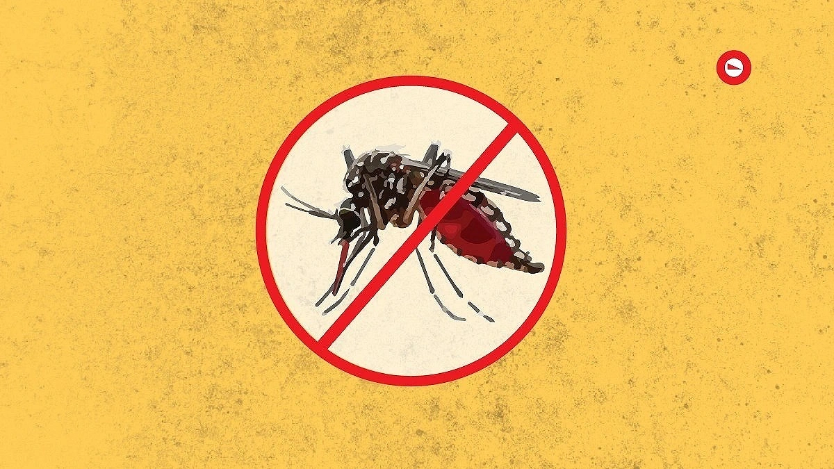 Dengue surges in Rohingya Camps, killing 10