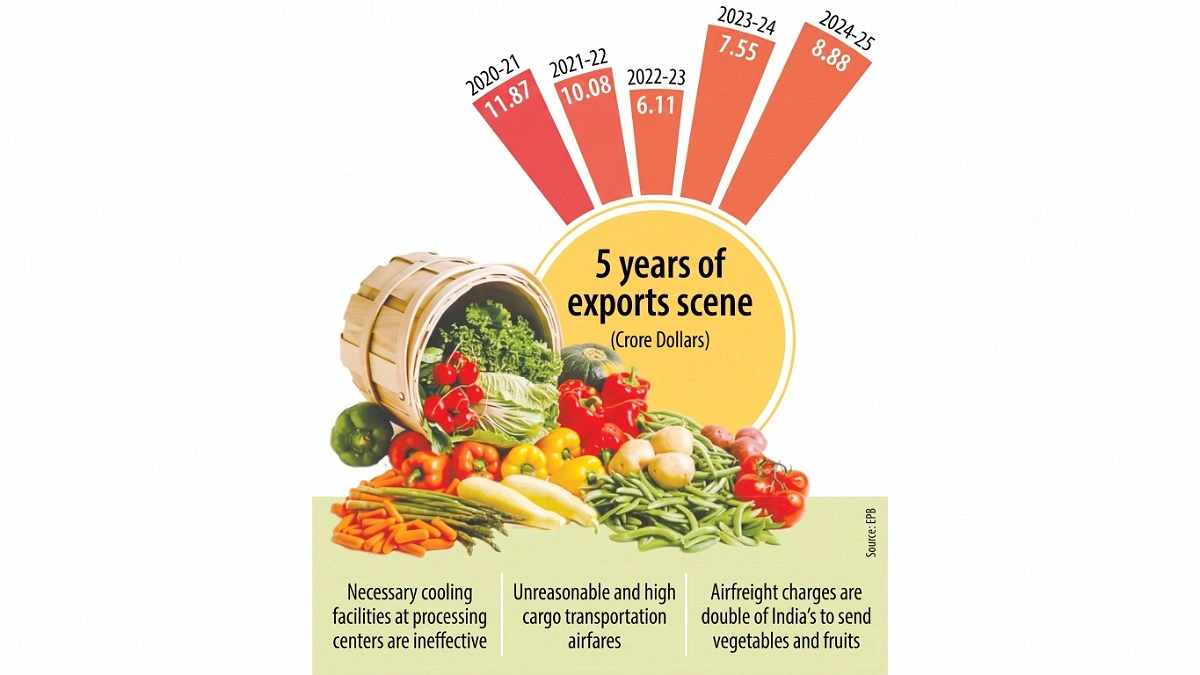 Two decisions could double vegetable exports