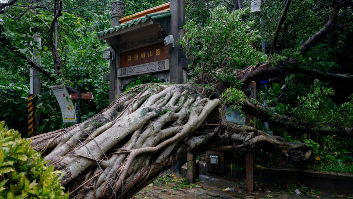 Typhoon Champi sweeps past Taiwan, leaving 1 dead, 500 injured