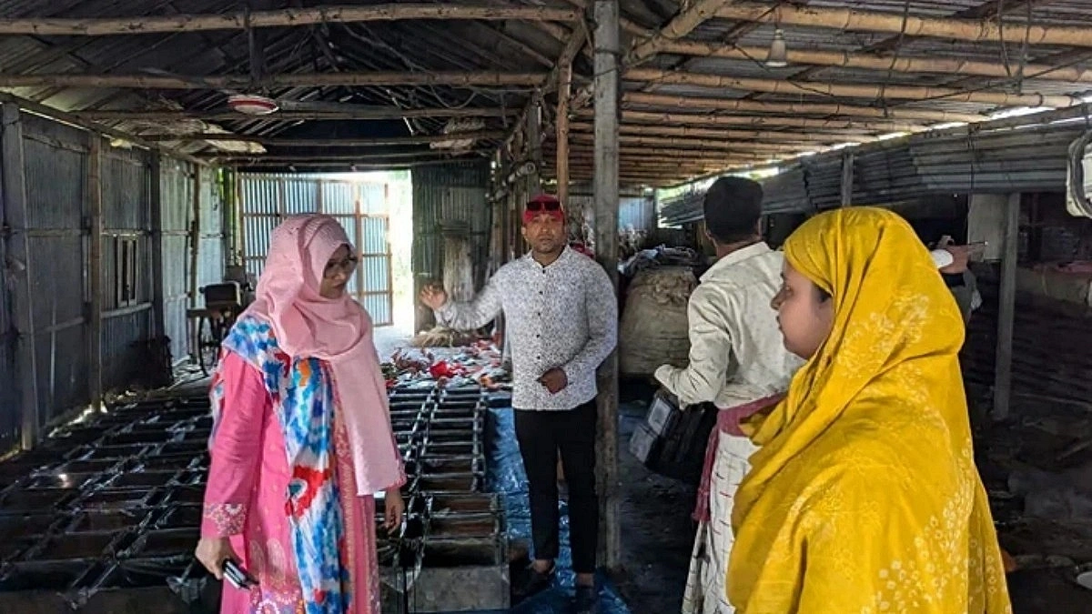 Mobile court destroys 45 maunds of adulterated jaggery in Rajshahi