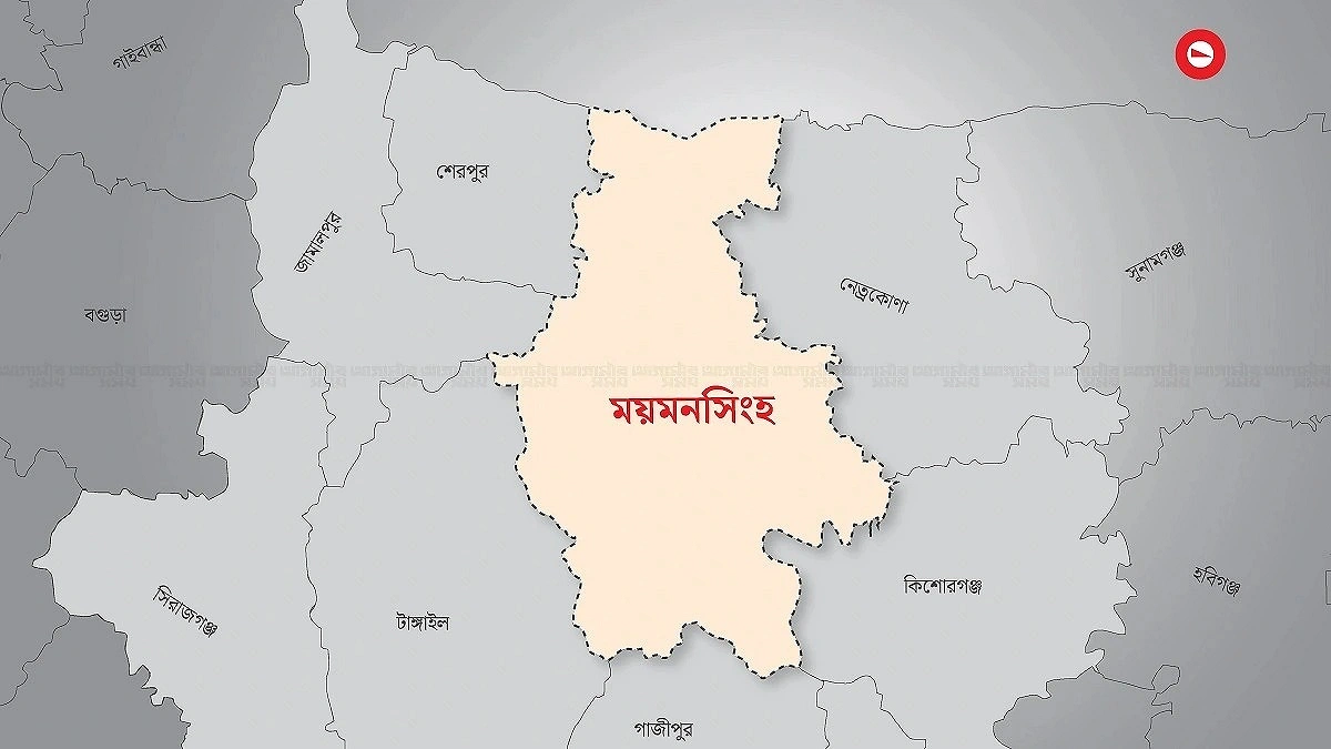 30 students in Mymensingh drop out after early marriages
