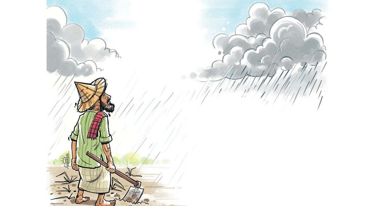 Climate change reshapes agriculture as farmers struggle to adapt