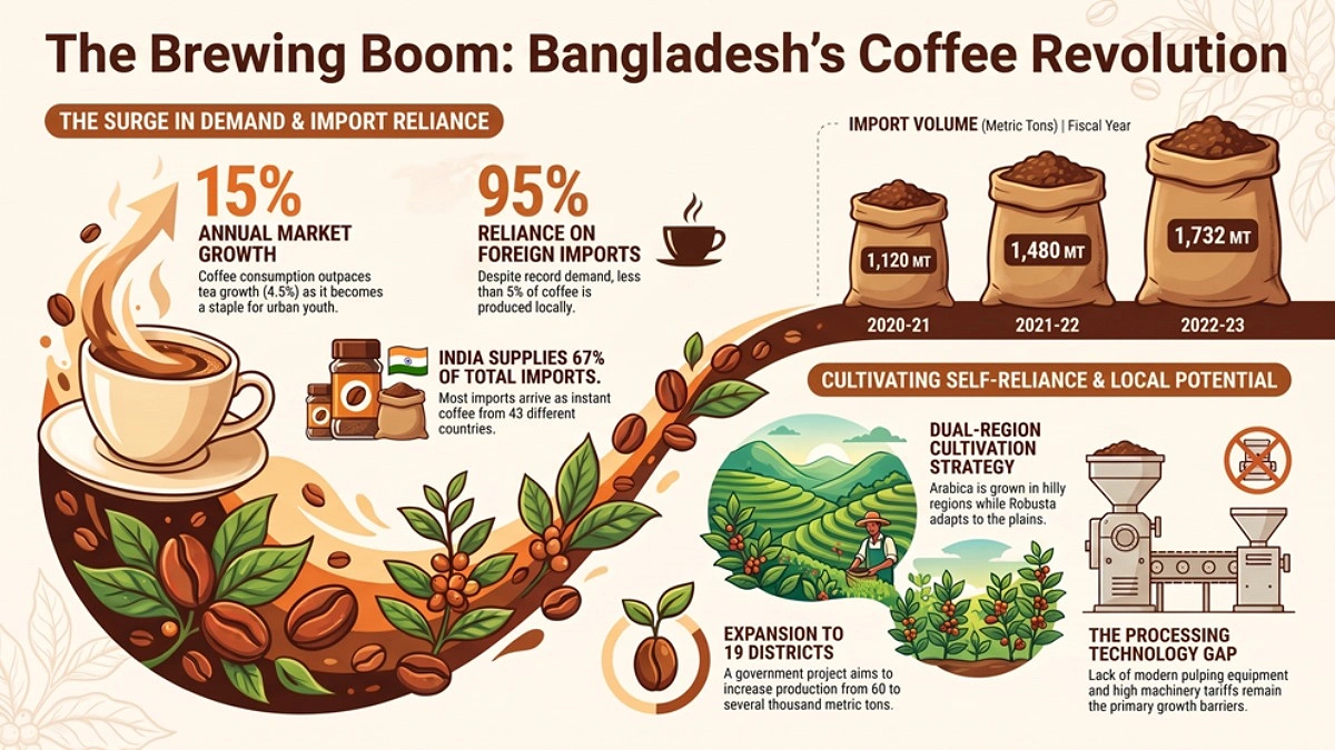 Bangladesh’s coffee boom: demand surges, imports dominate market